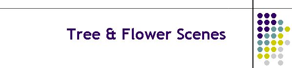 Tree & Flower Scenes